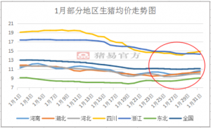 全国猪价格最新行情走势,全国猪价格最新行情走势分析