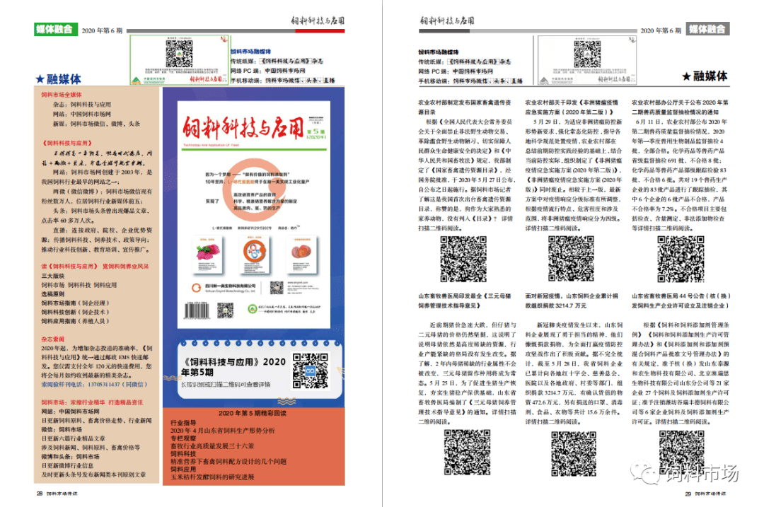 中国新冠疫情最新山东,中国新冠疫情最新进展，山东篇