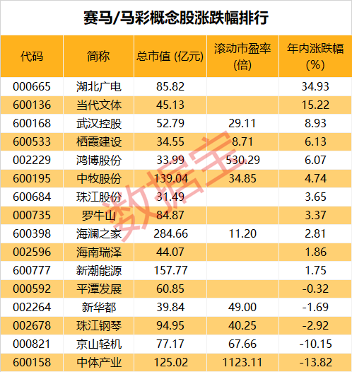 2024澳门马今晚开奖记录,澳门马今晚开奖记录，探索彩票背后的故事与期待