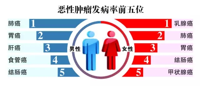 2024年管家婆四肖期期准,揭秘2024年管家婆四肖期期准的奥秘