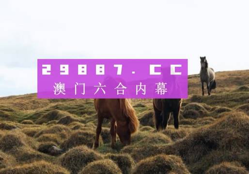 澳门4949开奖现场直播+开,澳门4949开奖现场直播，揭秘背后的风险与挑战