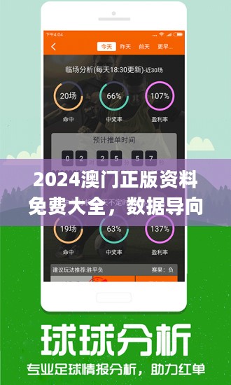 2024新澳正版免费资料,探索2024新澳正版免费资料的世界