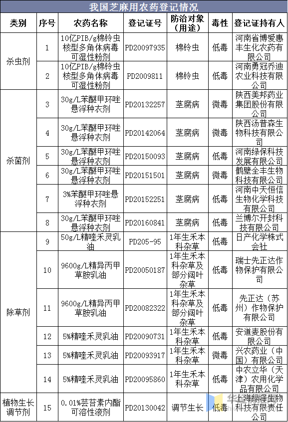 新澳资料免费长期公开吗,新澳资料免费长期公开，可能性与影响分析