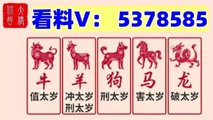 澳门特马今期开奖结果2024年记录,澳门特马今期开奖结果及未来开奖展望（记录至2024年）