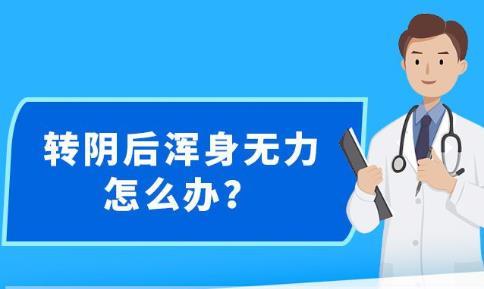 新澳精准资料,新澳精准资料，引领时代的决策之钥